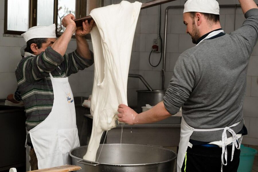 Vico Equense: Tour in the dairy "Mozzarella Experience" - Key points to know before you book