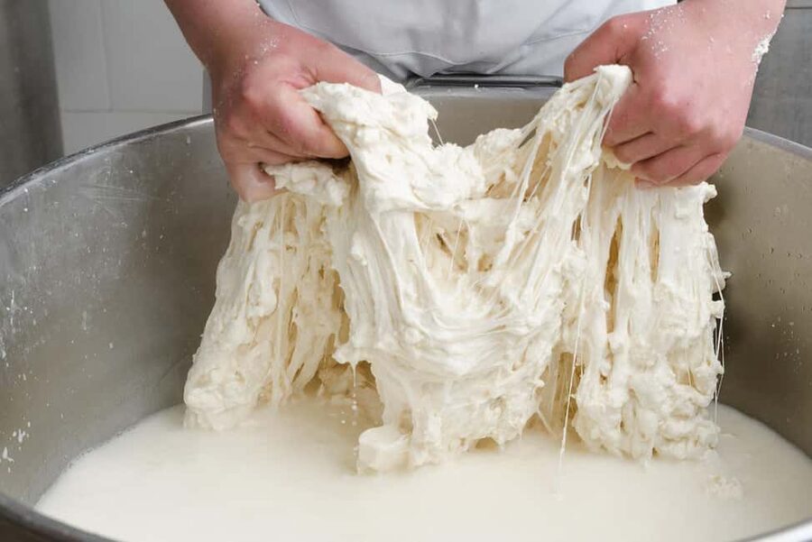 Vico Equense: Tour in the dairy "Mozzarella Experience" - Making fior di latte, bocconcini, and caciocavallo