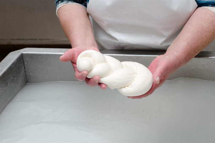 Vico Equense: Tour in the dairy "Mozzarella Experience" - Timing, language, and practical details