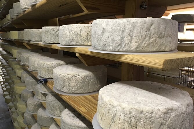 Vineyard & Cheesemaker Bus Tour of Sussex - High Weald Dairy turns lunch into a tasting