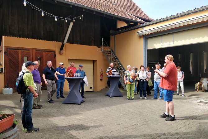 Visit and tasting of wines and cheese and charcuterie platter - The older cellar and wooden tuns