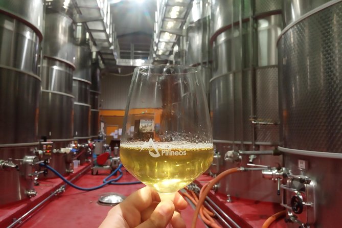Visit and wine tasting with sausage and BODEGA PIRINEOS cheese - What the four-wine tasting includes