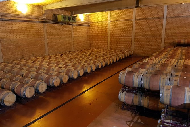 Visit and wine tasting with sausage and BODEGA PIRINEOS cheese - From grape arrival to the old cellar