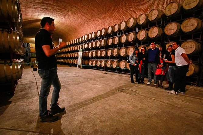 Visit to 3 Vineyards in the Region, departing from Querétaro - Freixenet Mexico opens the cellar