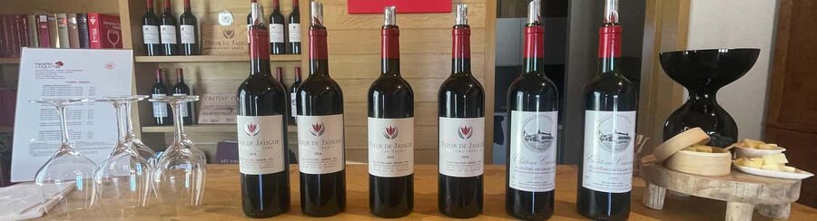 Visit to the property and wine/cheese pairing workshop - Three Bordeaux wines with three French cheeses