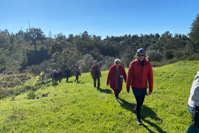 Walk in the Hills with Goat Herder-Local Honey, Wine and Cheese Tasting - What the private format is worth