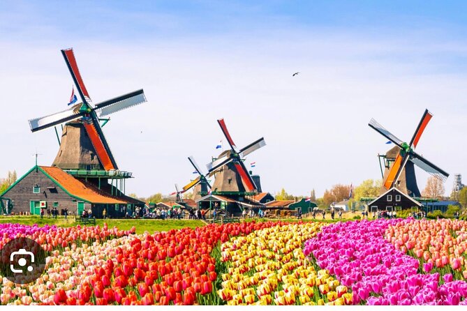 Windmills Country side tour Zaanse Schans-Cheesefactory-Volendam - Leaving Amsterdam in a private vehicle