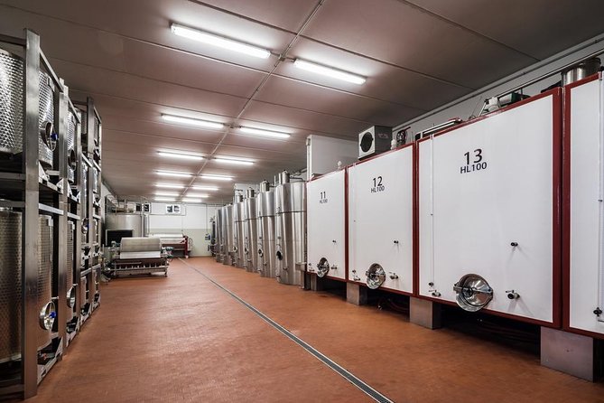Wine and Cheeses - The vineyard and olive-grove walk