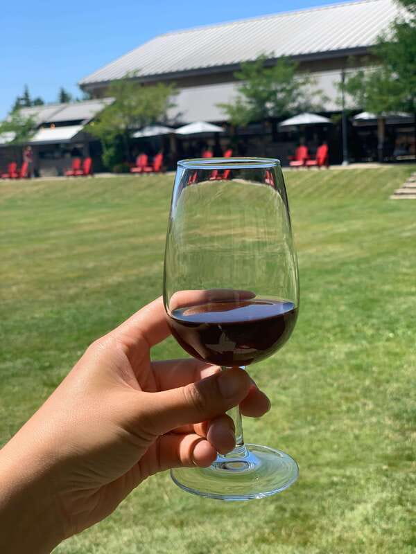 Wine & Cheese Afternoon Wine Tours in NOTL - Winery boutiques and the practical side of buying wine