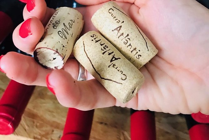 Wine, Cheese & Charcuterie Tasting, including complimentary tour - The first pours: learning the Azorean wine story