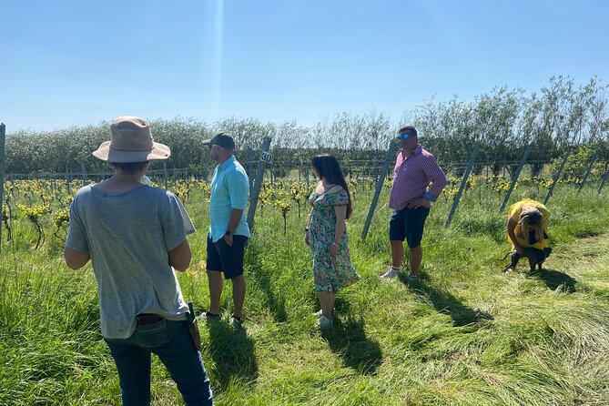 Wine & Cheese in the Somerset Valleys - with Michelin-star lunch! - Sutton Ridge Vineyard and Ingrid’s approach