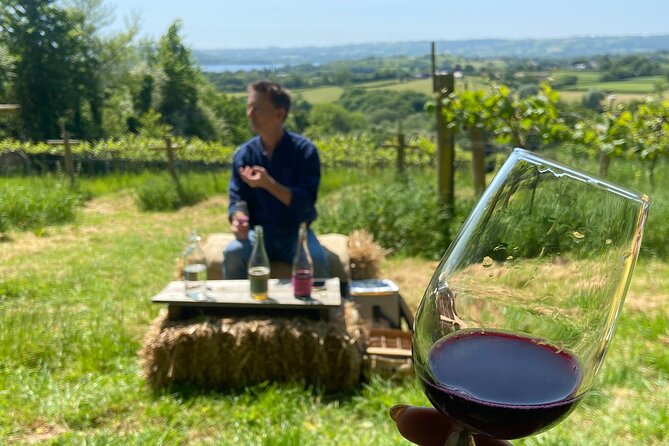 Wine & Cheese in the Somerset Valleys - with Michelin-star lunch! - A three-course lunch at The Pony
