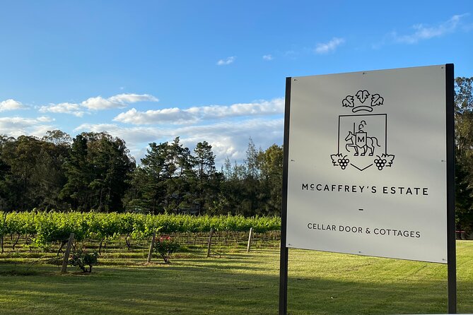 Wine & Cheese Tasting Experience in Hunter Valley - The wine selection and what you might discover