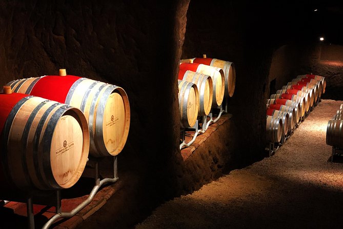 Winery tour and wine, cheese & charcuterie tasting - Walking among the vines with Anna
