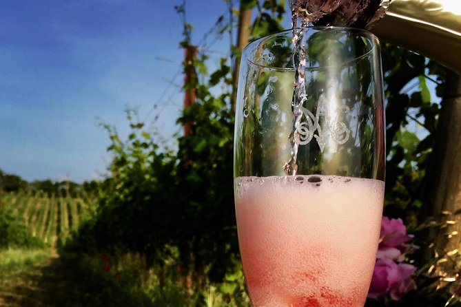 Winery tour and wine, cheese & charcuterie tasting - Four wines, local cheese, and charcuterie
