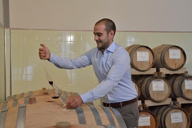 Wines, Cheeses & Bruschettas Tasting in Chianti (Tour at the Winery included) - Seeing the Cellars Before the First Sip