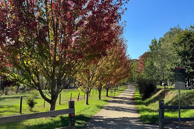 Yarra Valley Foodie Tour, Devonshire Tea, Cheese and Chocolate - Devonshire tea in a historic carriage cafe