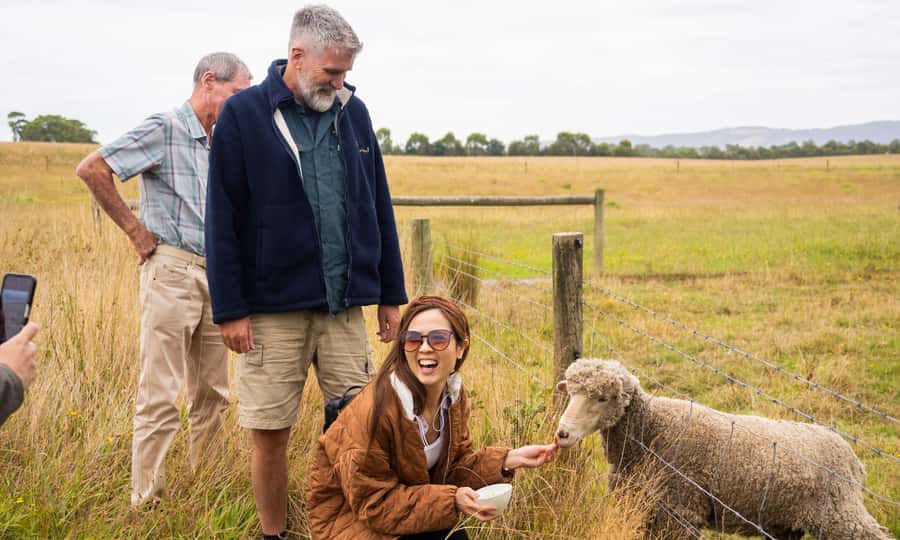 Yarra Valley Full Day Grazing Tour: Gin, Wine, Pizza, Cheese - Who should book this day trip?