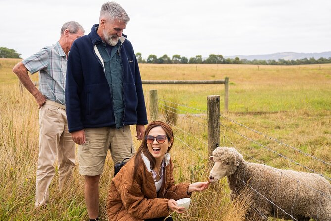 Yarra Valley Grazing Tour Wine, Cheese, Gin, Pizza from Melbourne - Stag Lane Farm Distillery and pizza