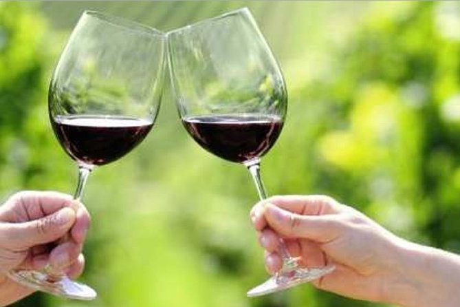 Yarra Valley Premium Tour inc Lunch and Cheese and Wine Pairing at De Bortoli - Lunch at a local winery restaurant