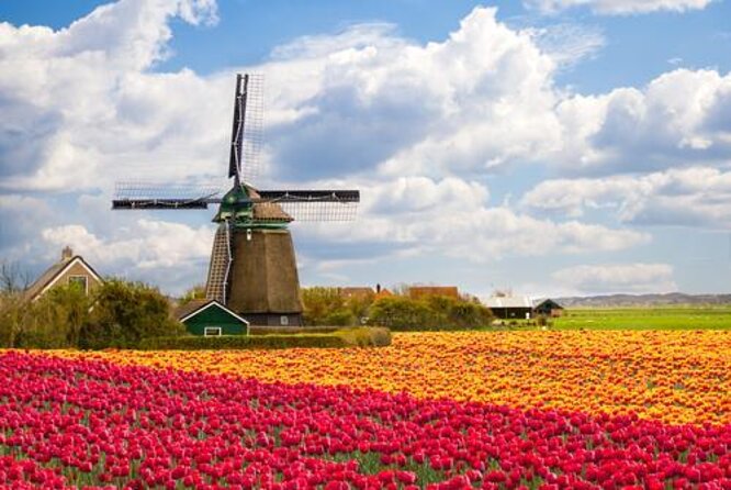 Zaanse Schans and Volendam Private Tour – Clogs, Cheese and More - Zaanse Schans and its working windmills