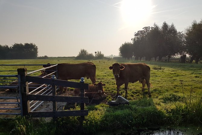 Zaanse Schans and Volendam Private Tour – Clogs, Cheese and More - Timing, pickup, and practical details