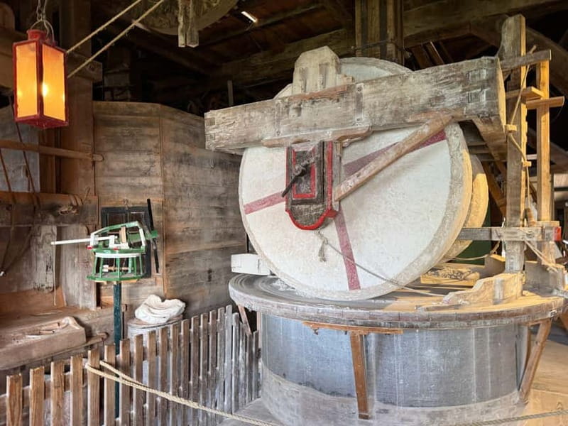 Zaanse Schans & Volendam Private Tour: Windmills and Cheese - Henri Willig cheese farm and tasting