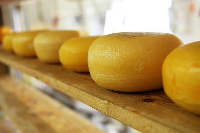Zaanse Schans Windmills, cheese and clogs and Volendam tour from Amsterdam - Jacobs Hoeve and Henri Willig: cows, robots, and plenty of cheese