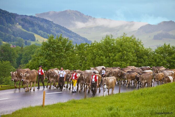 Zurich Open Top Bus, Chocolate and Cheese Factory Tour Appenzell - The St. Gallen addition